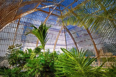 İlkbaharda Kew Botanik Bahçeleri 'nde sera, Londra, İngiltere