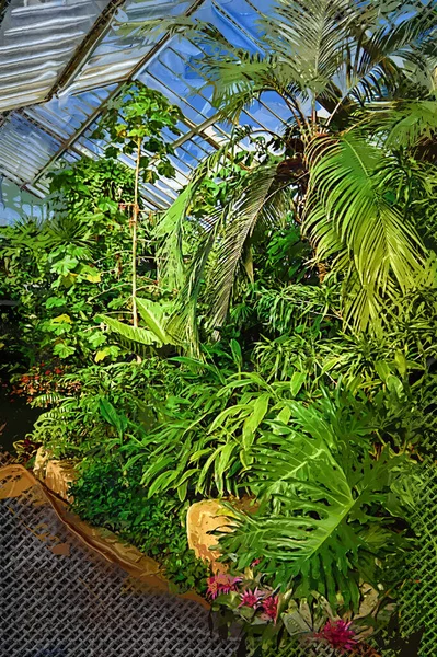 Szklarnia Kew Ogrody Botaniczne Wiosną Londyn Wielka Brytania — Zdjęcie stockowe