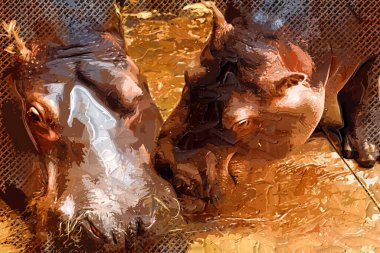 Hippo fotogrpahy sanat eseri hayvanat bahçesi manzarası