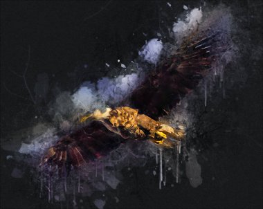 Kel kartal el çizimi ve beyaz arkaplan çizimi üzerine çullanır