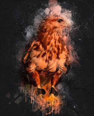 Kel kartal el çizimi ve beyaz arkaplan çizimi üzerine çullanır