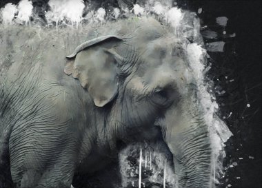 Fil sanatı illüstrasyonu eski moda.