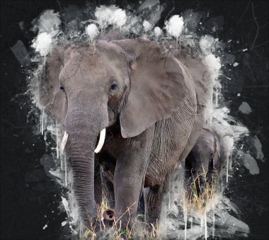 Fil sanatı illüstrasyonu eski moda.