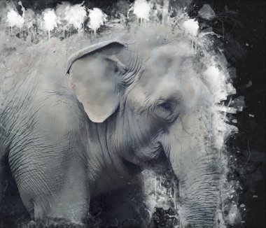 Fil sanatı illüstrasyonu eski moda.