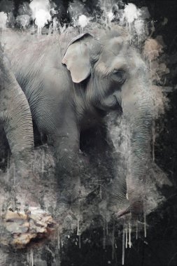 Fil sanatı illüstrasyonu eski moda.