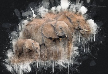 Fil sanatı illüstrasyonu eski moda.