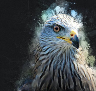 Falcon, arka plan illüstrasyonuna el çizimi ve boya rengi, şahin klasik retro