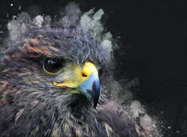 Falcon, arka plan illüstrasyonuna el çizimi ve boya rengi, şahin klasik retro