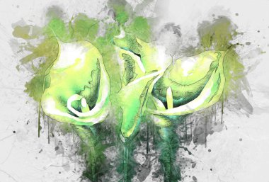 Resim resimli klasik arkaplan