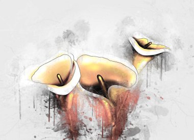 Resim resimli klasik arkaplan