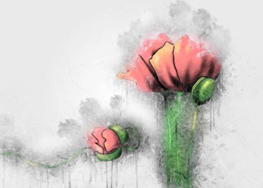 Resim resimli klasik arkaplan