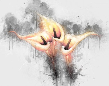 Resim resimli klasik arkaplan