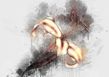 Resim resimli klasik arkaplan