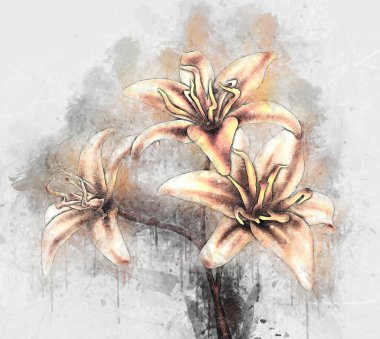 Resim resimli klasik arkaplan