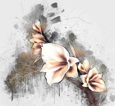 Resim resimli klasik arkaplan