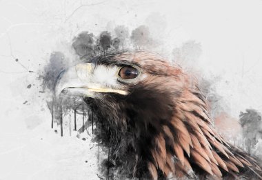 Kel kartal el çizimi ve beyaz arkaplan çizimi üzerine çullanır