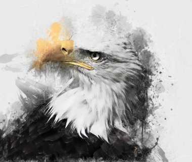 Kel kartal el çizimi ve beyaz arkaplan çizimi üzerine çullanır