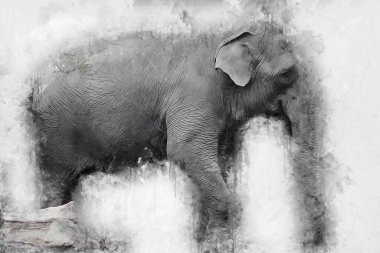 Fil sanatı illüstrasyonu eski moda.