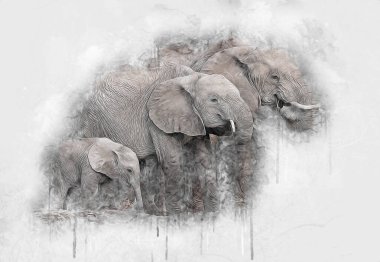 Fil sanatı illüstrasyonu eski moda.