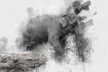 Fil sanatı illüstrasyonu eski moda.