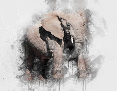 Fil sanatı illüstrasyonu eski moda.