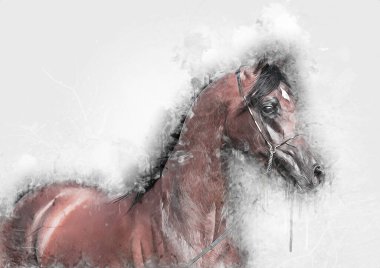 Renkli at resmi grunge resmi