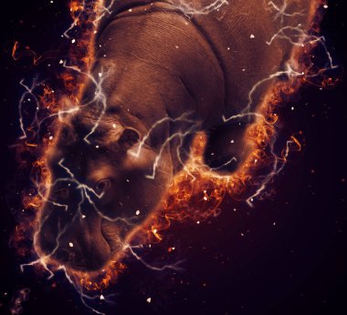 Hippo illüstrasyon sanatı klasik tasarım çizer