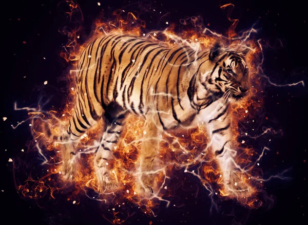 tiger art illustration color vintage grunge retro