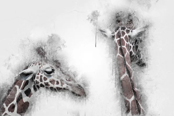 Drawing art drawing illustration of giraffe