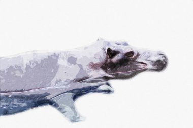 Hippo illüstrasyon sanatı klasik tasarım çizer