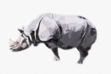 Afrika savanası gergedanları çizgi film tarzında. Eğitim zoolojisi illüstrasyonu