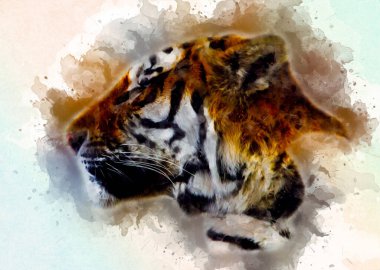 Kaplan sanatı illüstrasyon rengi vintage grunge retro