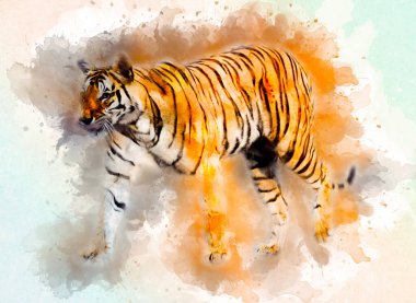 Kaplan sanatı illüstrasyon rengi vintage grunge retro