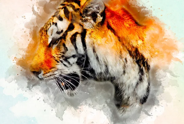 tiger art illustration color vintage grunge retro