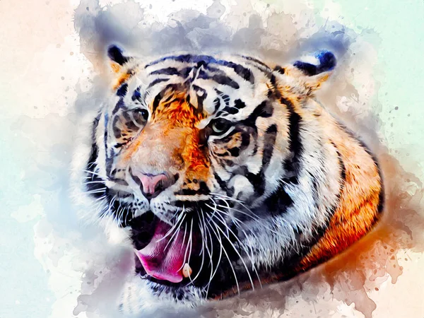 tiger art illustration color vintage grunge retro