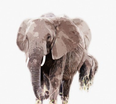 Fil sanatı illüstrasyonu eski moda.