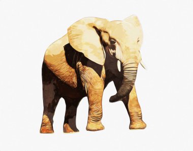 Fil sanatı illüstrasyonu eski moda.