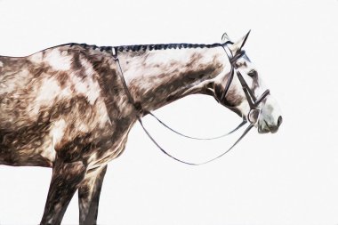 Renkli at resmi grunge resmi