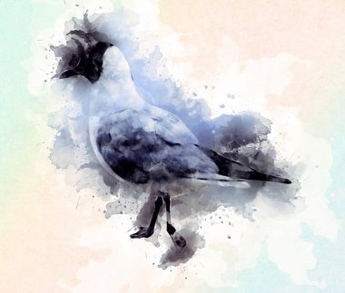 Atlantik beyaz deniz kuşu gökyüzünde uçar. Plaj martısı. Deniz kuşları, martı çizgi film çizimleri.