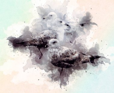 Atlantik beyaz deniz kuşu gökyüzünde uçar. Plaj martısı. Deniz kuşları, martı çizgi film çizimleri.