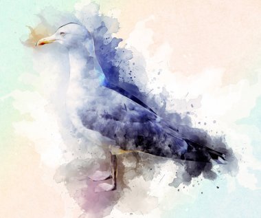 Atlantik beyaz deniz kuşu gökyüzünde uçar. Plaj martısı. Deniz kuşları, martı çizgi film çizimleri.