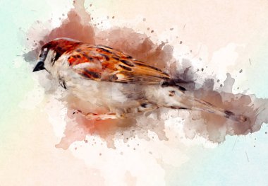 Serçe kuşu klasik illüstrasyon sanatı eskiz çiziyor antika eski