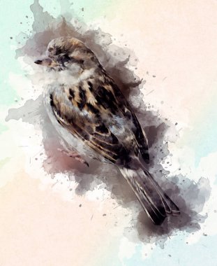 Serçe kuşu klasik illüstrasyon sanatı eskiz çiziyor antika eski