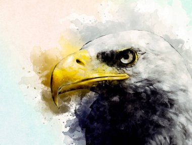 Kel kartal el çizimi ve beyaz arkaplan çizimi üzerine çullanır