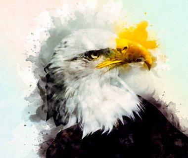 Kel kartal el çizimi ve beyaz arkaplan çizimi üzerine çullanır