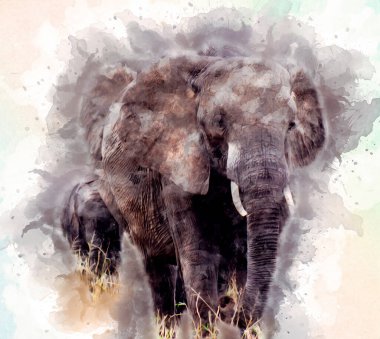 Fil sanatı illüstrasyonu eski moda.