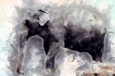 Fil sanatı illüstrasyonu eski moda.