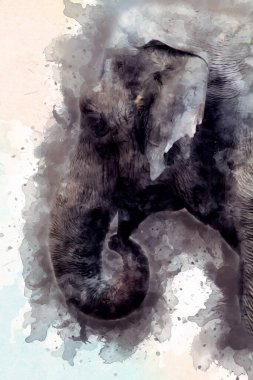 Fil sanatı illüstrasyonu eski moda.