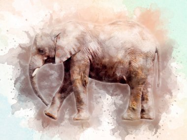 Fil sanatı illüstrasyonu eski moda.