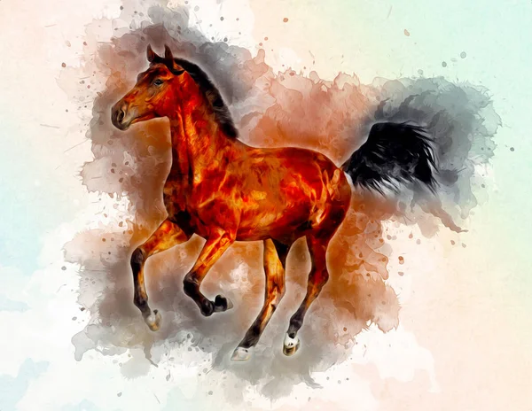 Colorful horse art illustration grunge painting